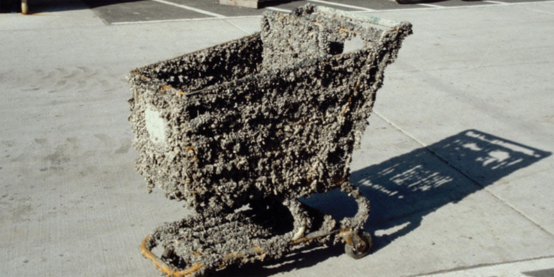 Mussel-coated cart image